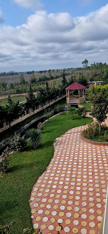 Bağ evlərinin kirayəsi: 500 kv. m, 8 otaq, Hovuzlu, Kombi, Qaz, İşıq — 5