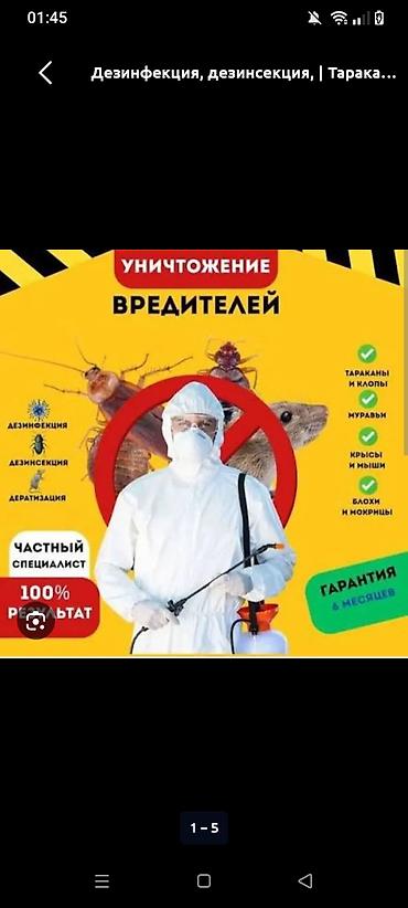 Дезинфекция, дезинсекция, | Клопы, | Офисы at lalafo.kg Дезинфекция, дезинсекция, | Клопы, | Офисы