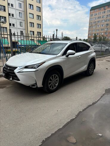 сидения аккорд: Lexus NX: 2017 г., 2 л, Автомат, Бензин, Кроссовер