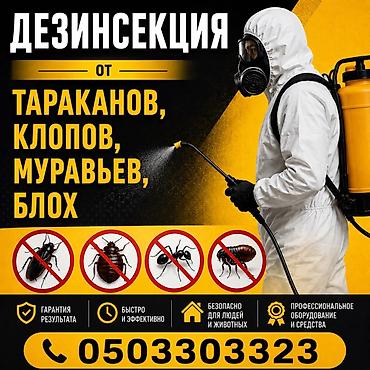 очаг: Дезинфекция, дезинсекция, | Тараканы, | Квартиры — 1