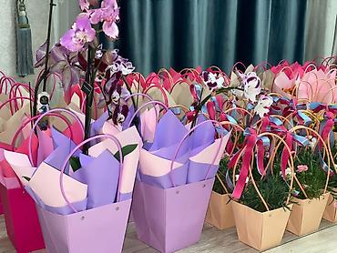 Каланхоэ: Каланхоэ в декоративном пакете‑кашпо “Specially” - Живые горшечные — 10