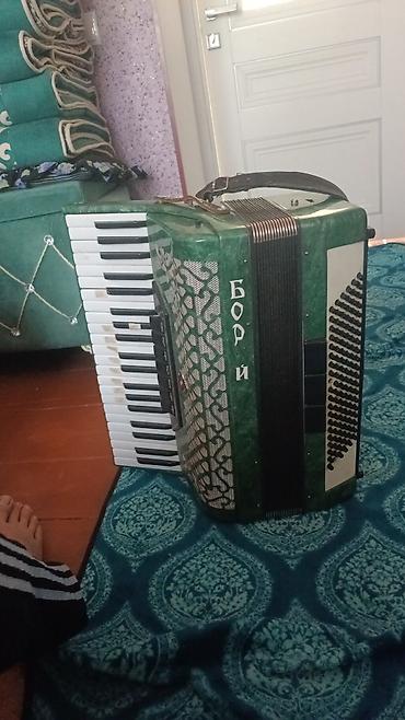 акордион: Уйронгонго болот — 1