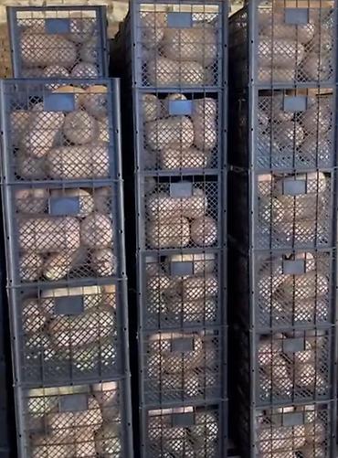 Ящики: Пластиковый Ящик — 20