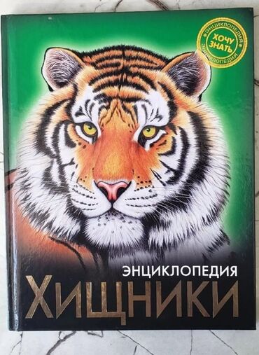 Книги, журналы, CD, DVD: Энциклопедия для детей "Вселенная и планета Земля " Состояние