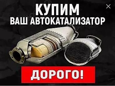 cdi: Катализаторы катализатор Скупка катализаторов дизельных, сажевых — 1