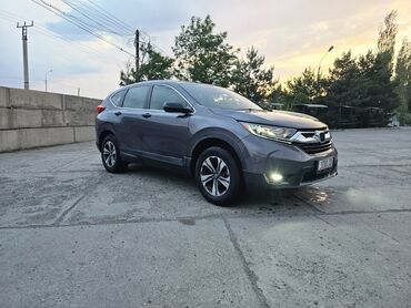 Honda: Honda CR-V: 2019 г., 2.4 л, Вариатор, Бензин, Кроссовер