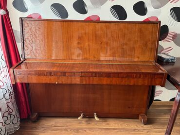 piano gallery baku: Piano, Rostov-Don, Akustik, İşlənmiş, Ünvandan götürmə
