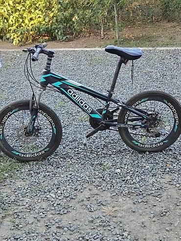velosipedler 24: Şəhər və yüngül off-road sürüşləri üçün universal velosiped — 1