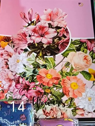 Gaćice: XL, Pamuk, Klasične — 11