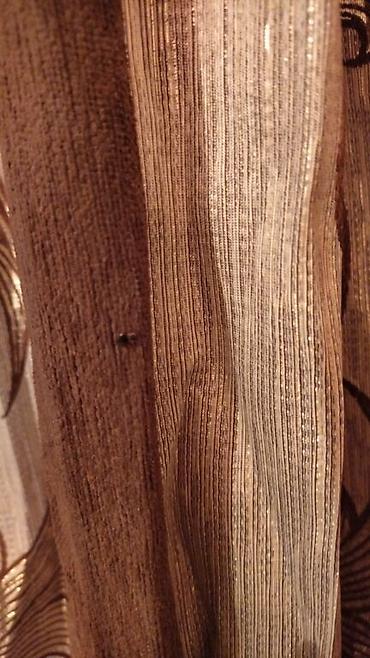 Дезинфекция, дезинсекция: Дезинфекция, дезинсекция, | Клопы, Блохи, Тараканы, | Транспорт, Офисы, Квартиры at lalafo.kg — 28 Дезинфекция, дезинсекция: Дезинфекция, дезинсекция, | Клопы, Блохи, Тараканы, | Транспорт, Офисы, Квартиры — 28