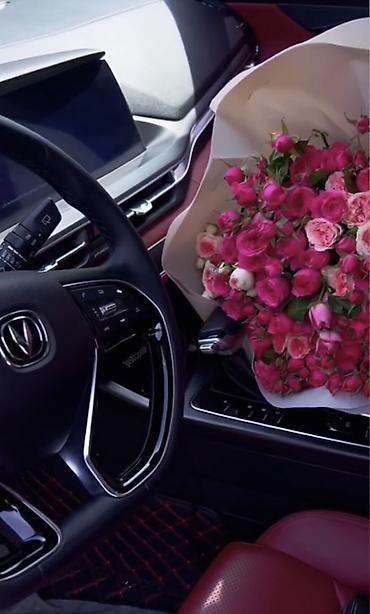 cha: Changan CS75 Plus: 2020 г., 1.5 л, Автомат, Бензин, Кроссовер — 6
