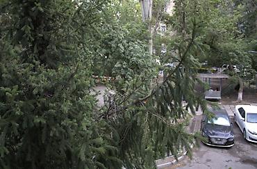 апартаменты: Другие удобства для дома и сада — 2