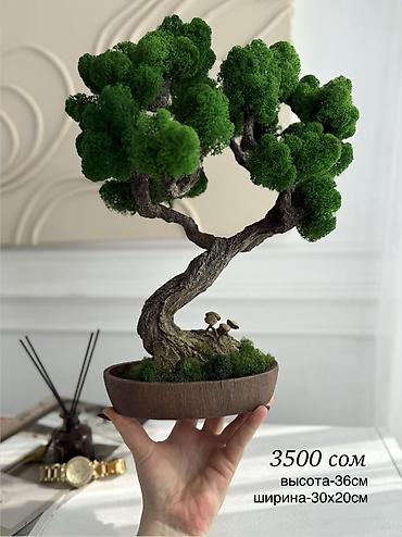 Другой декор и предметы интерьера: Декоративное дерево бонсай, выполненное из стабилизированного мха — 31