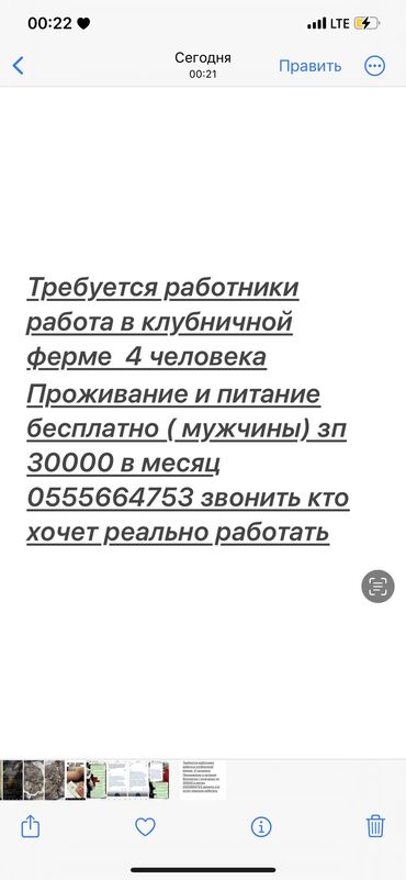 кара балта барахло: Работа в Кара Балте