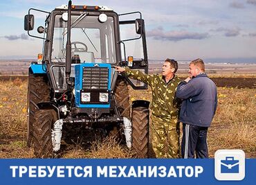 официант жумуш: Талап кылынат Тракторчу, Төлөм Күн сайын, Расмий жумушка орноштуруу