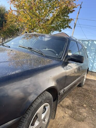 Audi: Audi 100: 1994 г., 2.6 л, Механика, Бензин, Универсал — 2