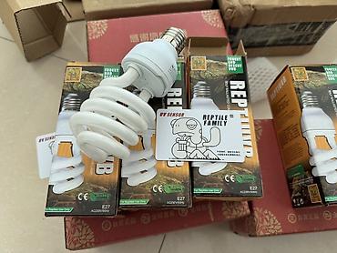 uvb: 💡Peşəkar Reptile UVB Lampa – Sağlamlıq və Güclü İnkişaf üçün! 🦎🌞 26W — 7