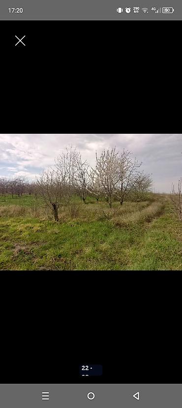 Torpaq sahələrinin satışı: Kənd təsərrüfatı — 21