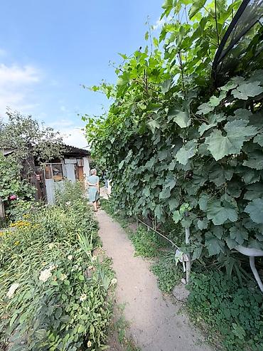 Продажа коттеджей и домов: Продается земельный участок площадью 3 сотки со старым домом в районе at lalafo.kg — 13 Продажа коттеджей и домов: Продается земельный участок площадью 3 сотки со старым домом в районе — 13