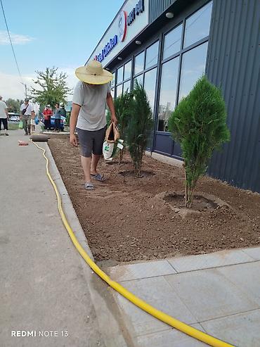 Газон: Сеем газон, Поссев газон, Газон себебиз 🌱 под ключ 🏡по городу бишкек — 4