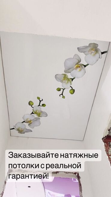 Потолочные работы: Монтаж потолков, Монтаж потолочных плинтусов Больше 6 лет опыта — 6