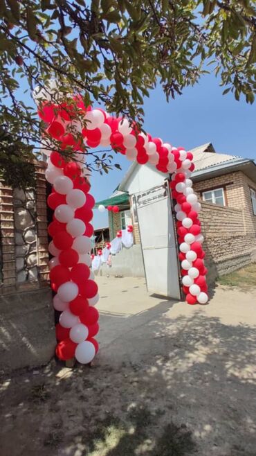 Организация мероприятий: Организация мероприятий | Оформление мероприятий, Гелевые шары — 20