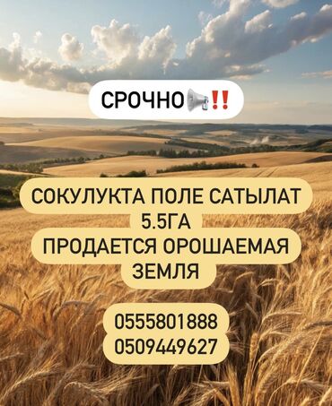 куплю дом рабочий городок: 550 соток, Красная книга, Тех паспорт
