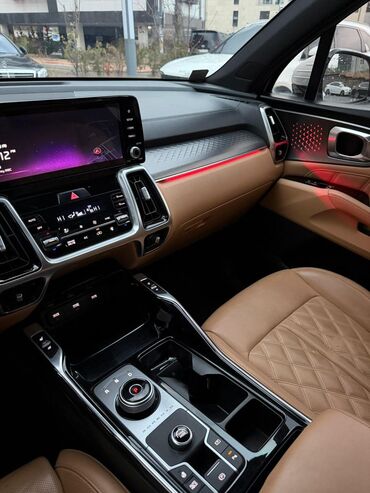 Kia: Kia Sorento: 2020 г., 1.6 л, Гибрид — 19