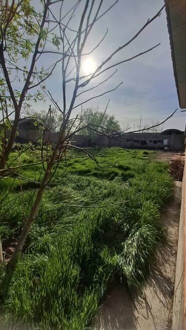 Продажа домов: Дом, 60 м², 2 комнаты, Собственник, Косметический ремонт — 11