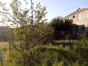 Uzunmüddətli kirayə evlər: 21 kv. m, 2 otaqlı, İnternet, Qaz, İşıq — 10