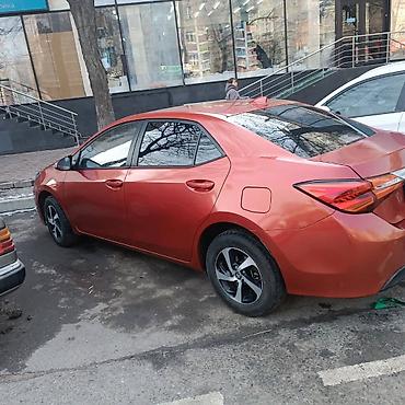 led свет: Toyota Levin: 2018 г., 1.8 л, Вариатор, Гибрид, Седан — 4