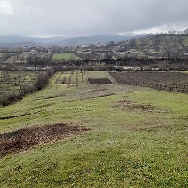 Torpaq sahələrinin satışı: Kənd təsərrüfatı — 5