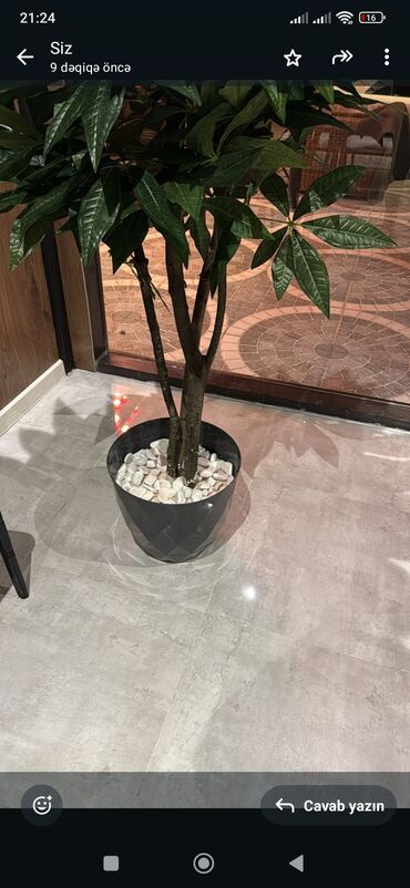 Ev üçün digər mallar: Dekor ag daş ağ rəng dolomit daş dolamit daslar Ag daslar kq 1.20 — 7