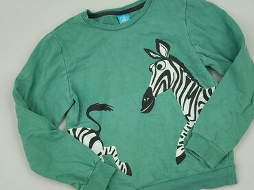 Bluza, Little kids, 9 lat, 128-134 cm, stan - Bardzo dobry