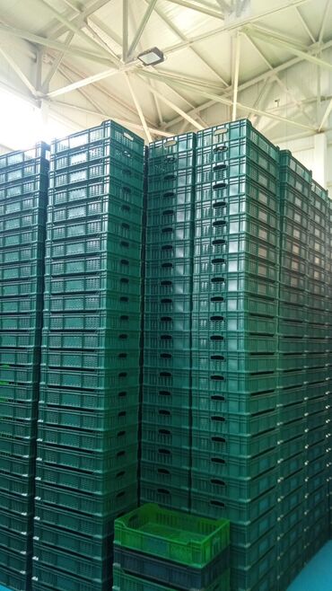 Digər mağaza avadanlığı: Plastik yeşik(tara,sebet,yesik,qutu) istehsalı. ölçülər 60/40/10sm — 24