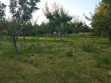 4 соток участок: 25 соток — 9