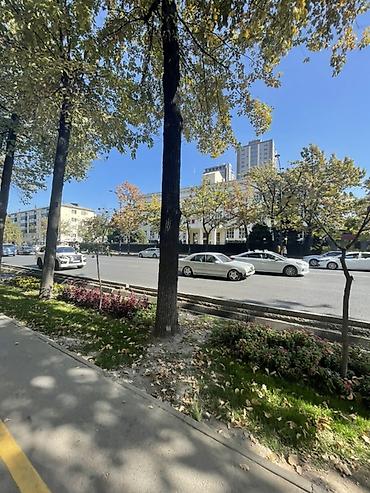 Сдаётся светлая квартира в центре города рядом с Торговым центром