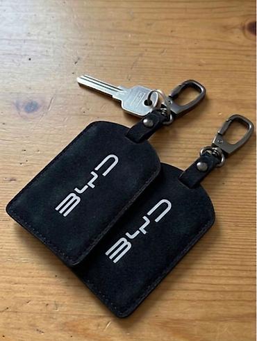 cexol maşın: BYD (Destroyer 05, Chazor, Song Plus, Han, Yuan) modellərinin smart — 1