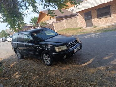 форестар: Subaru Forester: 2003 г., 2 л, Автомат, Бензин, Универсал