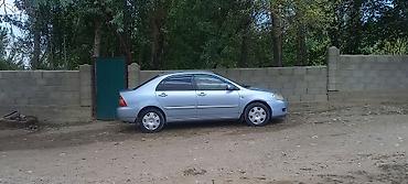 мтз ош: Toyota Corolla: 2004 г., 1.6 л, Кол менен иштөөчү, Бензин, Седан — 1
