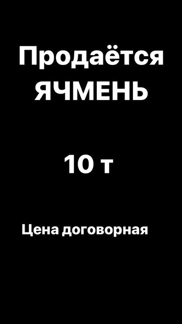 перчатки для спорта: Продаётся ячмень 
село Сретенка
10 т 
Цена договорная