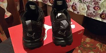 адидас обувь мужская: Кроссовки PUMA Pro Series (модель для бега/активного отдыха) - Цвет — 5