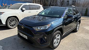 d 4d: Toyota RAV4: 2019 г. — 8