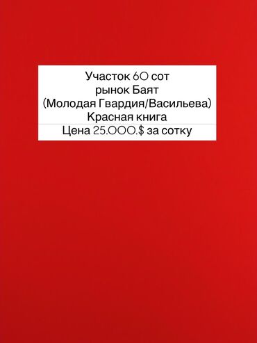продаю дом рынок баят: 60 соток, Для бизнеса, Красная книга, Тех паспорт, Договор купли-продажи