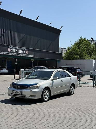 mark x: Toyota Camry: 2004 г., 2.4 л, Автомат, Газ, Седан — 1