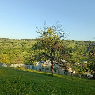 Torpaq sahələrinin satışı: Tikinti — 1