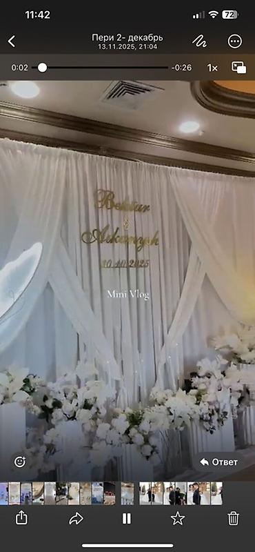 Другие товары для праздников: Декор и оформление торжеств в светлой классике - Фотозоны и задники — 3