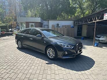кобальт 2013: Hyundai Sonata: 2018 г., 2 л, Автомат, Газ, Седан — 1