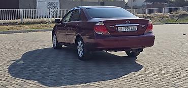 камри 79: Toyota Camry: 2004 г., Седан — 3
