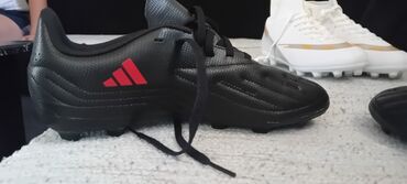 adidas predator kopačke: Kopacke na prodaju,br 38,nove.cena 3000